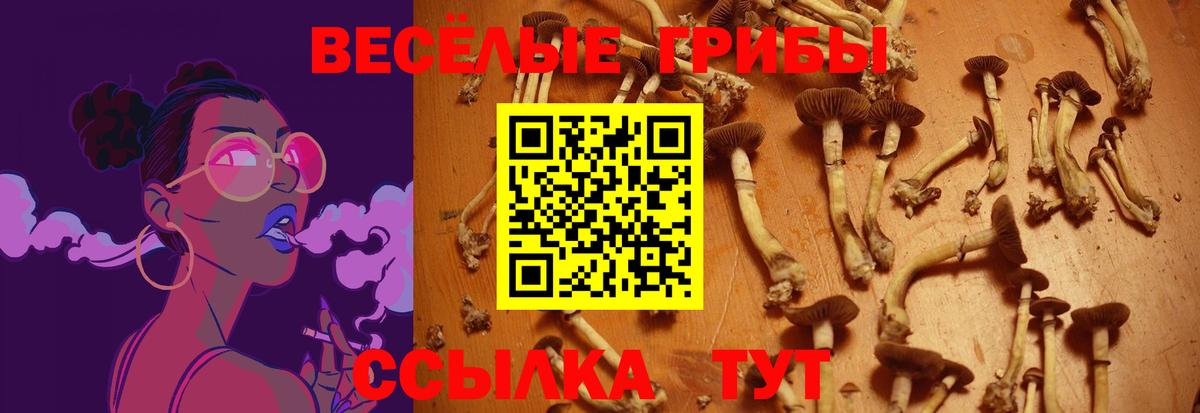 NBOMe Химки