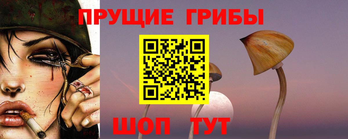 Псилоцибиновые грибы GOLDEN TEACHER Химки